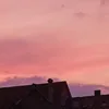 stella_s_12