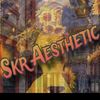 skr.aesthetic.tt