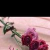 heem.1234