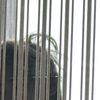 nzy_045