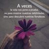 agnes2524