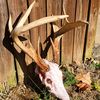ky.hunter