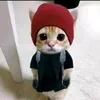 joako_ck621