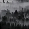 tri_thuwsc