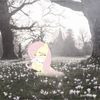 bunnidiaries