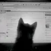 nielznn01