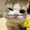 kocotendau.com