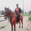 sarfrazgashkory