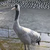 koba.yk