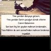 gulalek_y