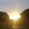 cuongcuonghoangcu