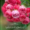 suhairnayazee