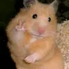 huhuhuhunho