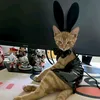ascrmakeawmwm