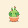 cactus.884