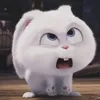 nanaguevara4