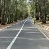llcr92