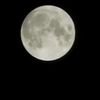 fahad_alazm