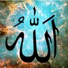 best_islamic_quotes
