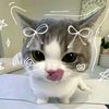 laaa_bilaaa2