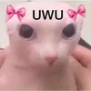 ladyluckylu