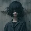 fa_h.313