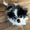 cindytrainor1
