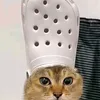 tamori_36