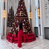 bianchaaswin26