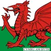 welshdragon2590