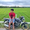 vld.gyy