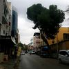 hayel_.426