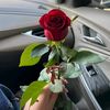 sarooqn4