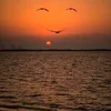 khadijarhouzir4