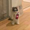 random_acc_in_tiktok