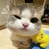 itserikajennice