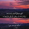 abdulrahmansaraj4