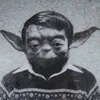 mrroundhead
