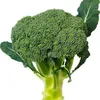 green6221