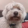 claudiaucar66