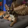 dexter_the_man23