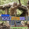 kalistix