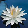 kavitha_6557