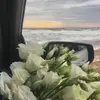 basma_noir.79