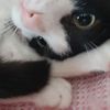 lucram__