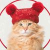wisecatsay