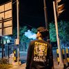 lupint_z