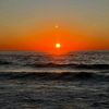 tiny_431