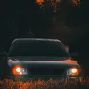 lyubimyy_16