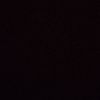 pipinnn024
